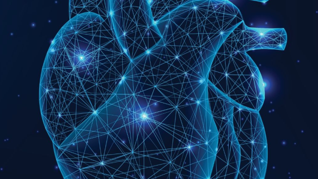 Καρδιακές βαλβίδες και σύγχρονες διακαθετηριακές τεχνικές