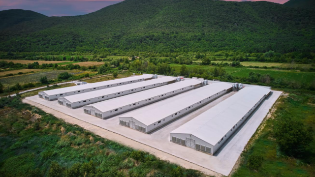 Η MHP επενδύει στη Νιτσιάκος, στηρίζοντας την επόμενη φάση ανάπτυξης της εταιρείας