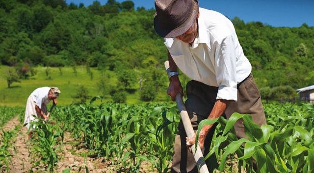 ΥΠΑΑΤ: Τους επόμενους πέντε μήνες οι αποφάσεις για τα Ιστορικά Δικαιώματα