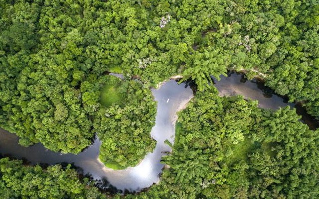 Κλιματική αλλαγή: Τα δύο τρίτα των τροπικών δασών έχουν χαθεί ή αλλοιωθεί