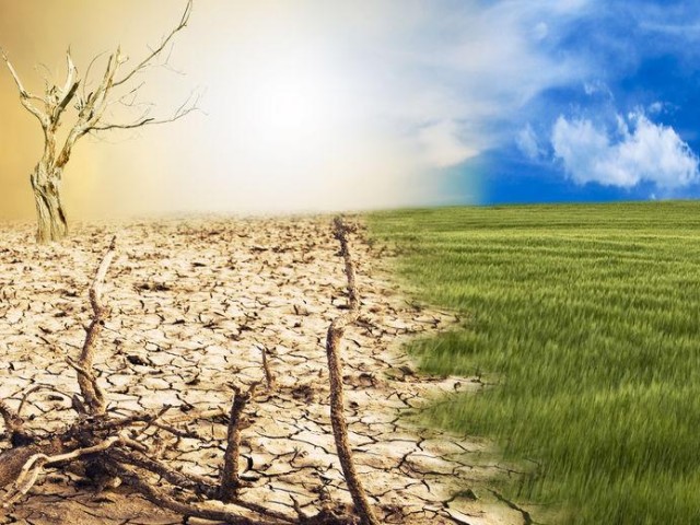 Οι νέοι στην Ευρώπη ανησυχούν περισσότερο για το κλίμα παρά για την πανδημία