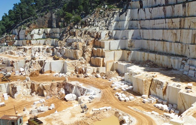 ΙΚΤΙΝΟΣ: Υποχώρησαν πωλήσεις και κέρδη το 2020