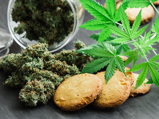 Tikun Europe: Η Ελλάδα μπορεί να πρωταγωνιστήσει στην παγκόσμια αγορά φαρμακευτικής κάναβης