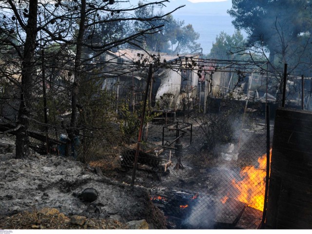 Ν.Χαρδαλιάς: Κάηκαν 20.000 στρέμματα δάσους από την πυρκαγιά στον Σχίνο Λουτρακίου