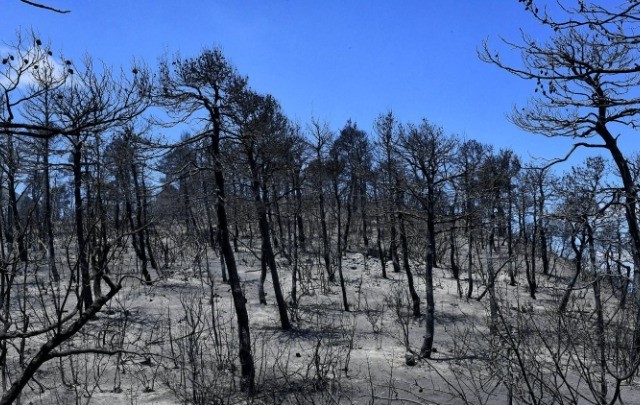 Κυβερνητικό κλιμάκιο στο Αλεποχώρι για την αποτίμηση των καταστροφών