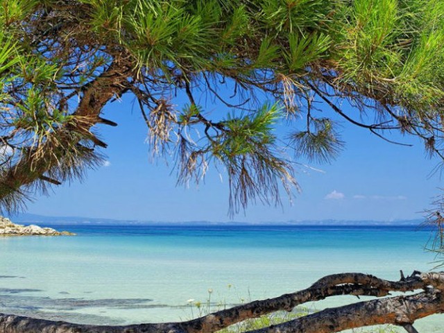 Χαλκιδική: Στο 70% με 80% ανέρχονται οι πληρότητες