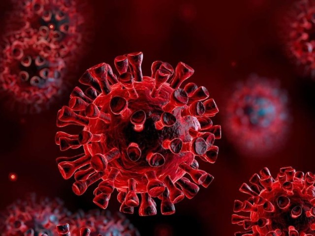Τι γνωρίζουμε μέχρι σήμερα για τη μόλυνση των κυττάρων από τον SARS-CoV-2