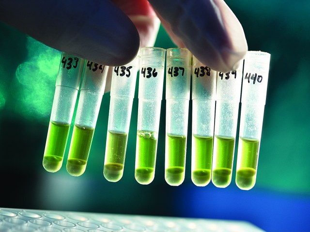 Bayer Ελλάς: Ξεκίνησε η διαδικασία αιτήσεων συμμετοχής στο πρόγραμμα Grants4Ag