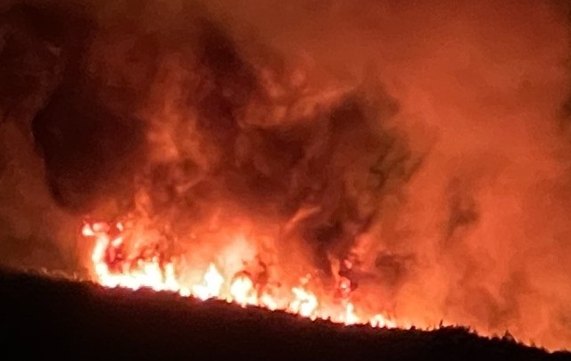 Πάνω από 94.000 στρέμματα κάηκαν στα Βίλια και 5.317 στην Κερατέα