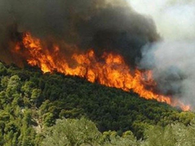 Το τελευταίο 24ωρο ξέσπασαν 45 δασικές πυρκαγιές στην Ελλάδα