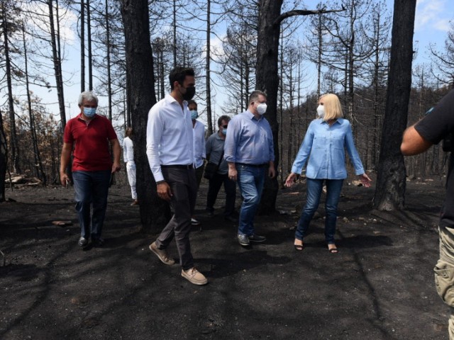 Φώφη Γεννηματά: Δοκιμάστηκε και απέτυχε στην Εύβοια το σύστημα Πολιτικής Προστασίας