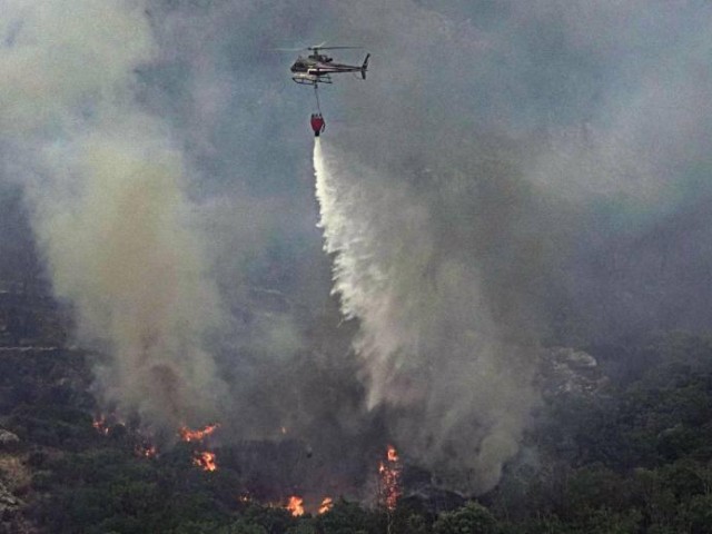 Ιταλία: Υπέστη τις μεγαλύτερες καταστροφές από τις δασικές πυρκαγιές 