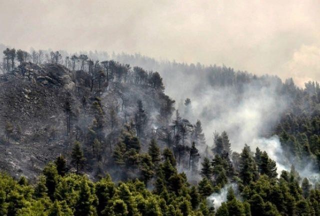 Βουλγαρία: Δυο νεκροί σε δασικές πυρκαγιές στη χώρα