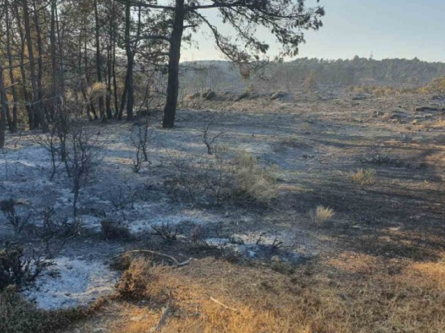 Ρόδος: Ξεκίνησε η καταγραφή των ζημιών μετά την πυρκαγιά