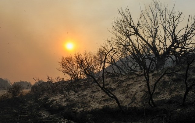 Φωτιά στη Ρόδο: Εκκενώθηκαν χωριά - Προς αποκατάσταση ηλεκτροδότησης - Σε ύφεση  Αγρίνιο-Αχαΐα
