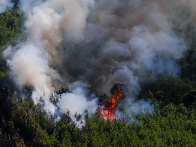 Γ.Πατούλης; Στους δασάρχες η ευθύνη για τη φωτιά στα Βίλια