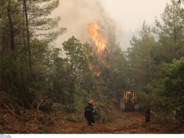 Μάχη με τη φωτιά στα Βίλια