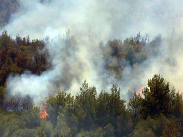 Βίλια- Πυρκαγιά: Στο νότιο μέτωπο όλες οι δυνάμεις για προστασία του κάμπου Μεγάρων  (upd 21.35)