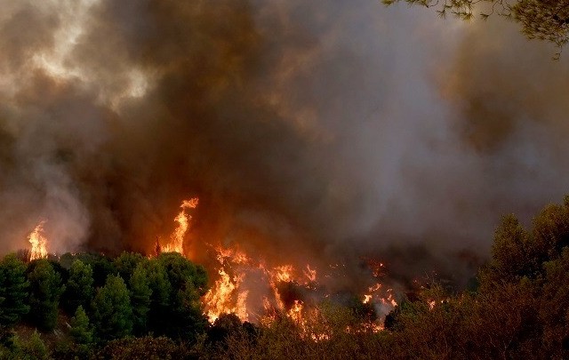 Πυρκαγιά από την Αλβανία πέρασε προς Θεσπρωτία