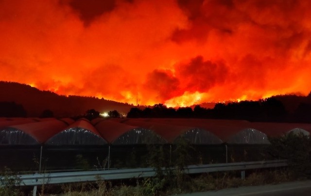 Πληθαίνουν τα μέτωπα στη βορειοκεντρική Εύβοια