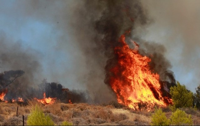 Σε εξέλιξη η πυρκαγιά στην Κερατέα
