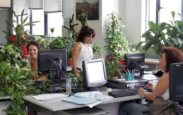 Πήραν παράταση έως 15 Σεπτεμβρίου οι φορολογικές δηλώσεις