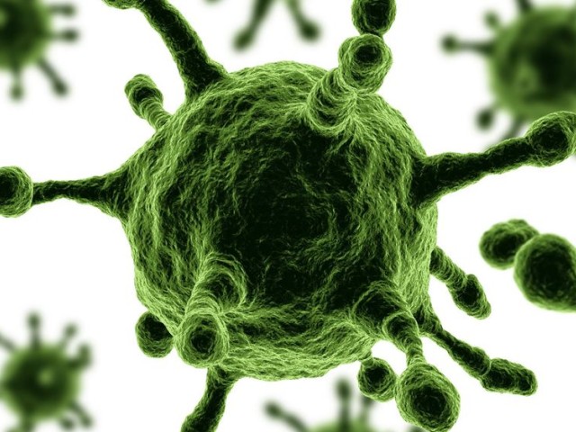 ΕΟΔΥ: Κορωνοϊός: Στα 1.319 νέα κρούσματα – 378 διασωληνωμένοι, 28 θάνατοι