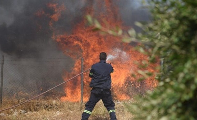 Πυρκαγιά σε δασική έκταση στην Ανάβυσσο