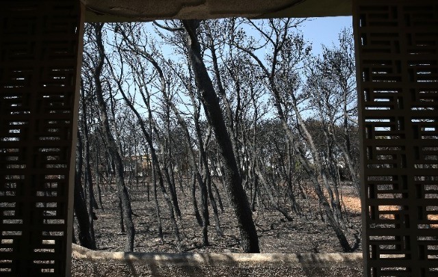 Ποιους καθίζει στο σκαμνί ο Εισαγγελέας για τη φονική πυρκαγιά στο Μάτι