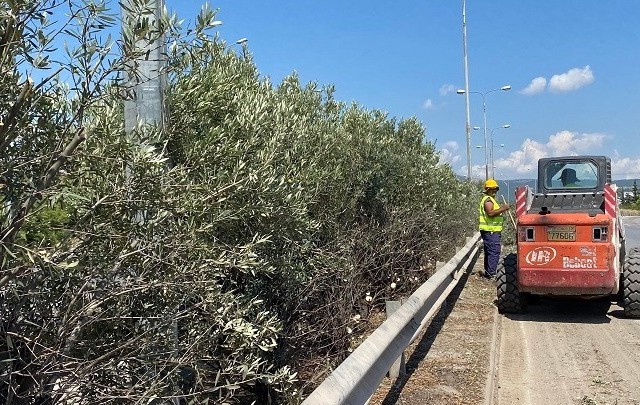 Εργασίες κοπής πρασίνου στην περιφερειακή οδό Θεσ/νίκης