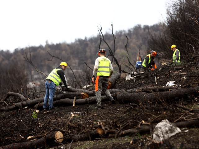 Coca Cola 3E: Ταχεία αποκατάσταση της περιοχής Βαρυμπόμπης - Τατοΐου και δωρεά €800.000
