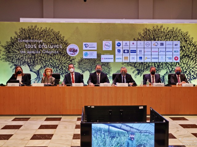 Ξαναφυτεύουμε τους Ελαιώνες της Αρχαίας Ολυμπίας!