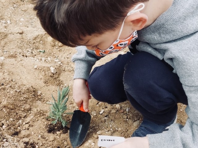 Η Sunlight Group πραγματοποιεί δενδροφυτεύσεις στις περιοχές όπου δραστηριοποιείται