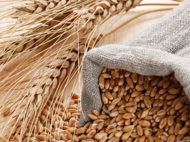 Bloomberg: Αύξηση στις τιμές των σιτηρών κατά 23% τον Φεβρουάριο