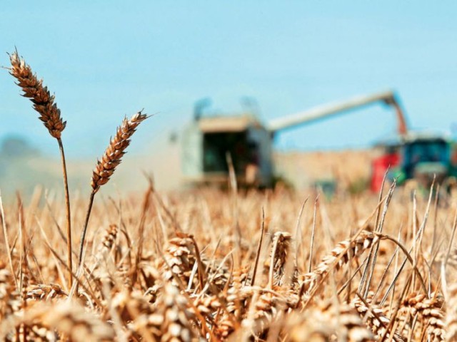 Σε ιστορικά υψηλά το κόστος για τρόφιμα
