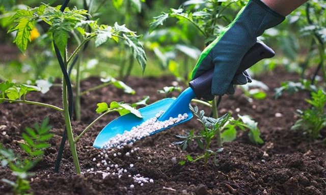 Είδος πολυτελείας τα λιπάσματα