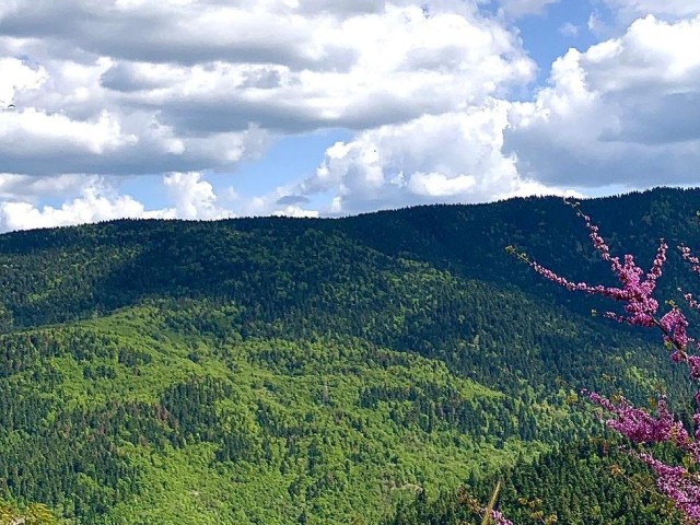 Στην Ελλάδα το βραβείο Natura 2000 για την προστασία χερσαίων εκτάσεων
