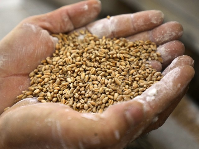 Πόσο πιθανή είναι μία επισιτιστική κρίση; Οι παράγοντες και η γεωγραφία της