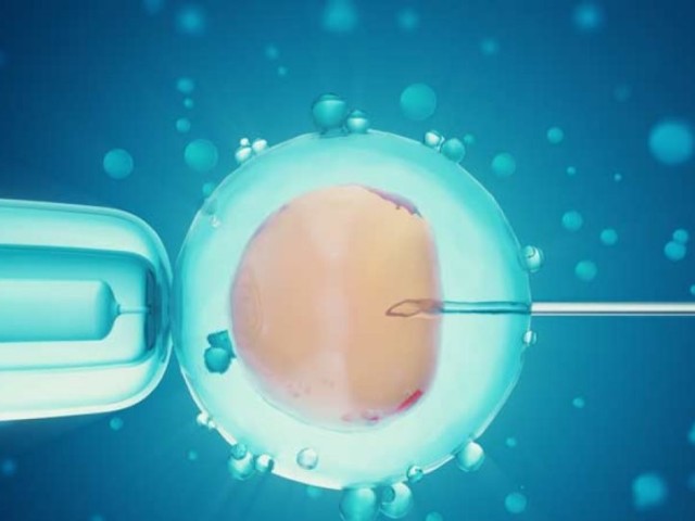 Υποβοηθούμενη αναπαραγωγή: Αυξάνεται στα 54 έτη το όριο ηλικίας – Οι 7 ρυθμίσεις του νομοσχεδίου