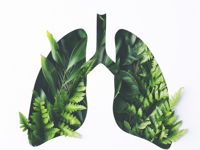 «Πνευμόνων Υγεία»: Το πρόγραμμα που σώζει ζωές