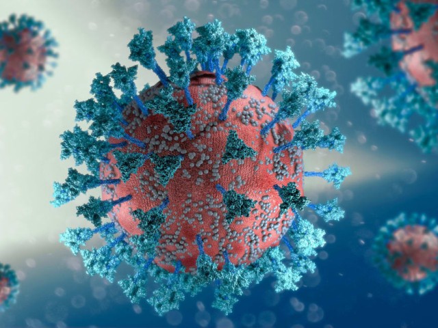 Αποτελεί παγκόσμια απειλή η μετάλλαξη «Κράκεν»; – Αβέβαιοι οι επιστήμονες – Τι δείχνει έρευνα