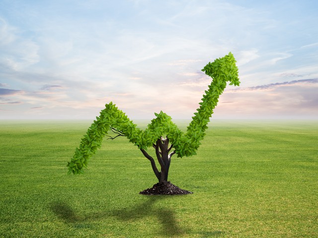 «Πράσινη Μετάβαση»: Πότε αρχίζουν οι αιτήσεις για τις μικρομεσαίες επιχειρήσεις