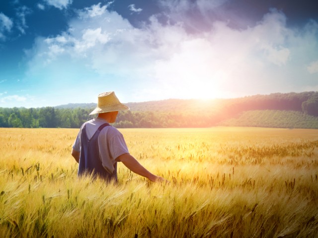 Οι δαπάνες της ΕΕ  για τη γεωργία και τη συνοχή απαιτούν αυστηρό έλεγχο