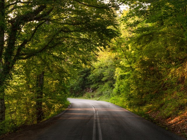 Ελληνικός Χρυσός: Κοινωνικές επενδύσεις 1,45 εκατ. ευρώ το 2022 με 137 έργα και δράσεις