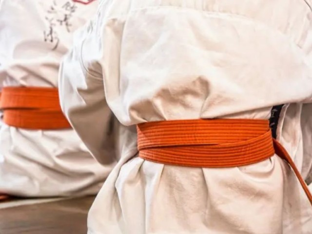 Ελληνική Ομοσπονδία Καράτε: Ο Σύλλογος Γονέων Αθλητών καταγγέλλει 4+1 τρανταχτά σκάνδαλα