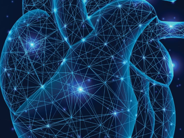 Καρδιακές βαλβίδες και σύγχρονες διακαθετηριακές τεχνικές