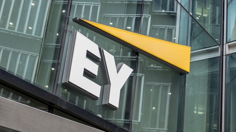 EY: Κορυφαίος πάροχος υπηρεσιών ανθρώπινου δυναμικού