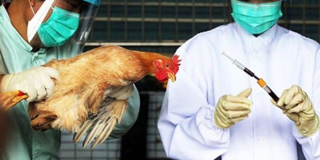 Ρωσία: Κατέγραψε το πρώτο περιστατικό ανθρώπινης μόλυνσης με την γρίπη των πτηνών AH5N8