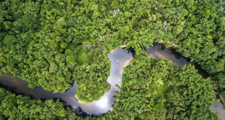 Κλιματική αλλαγή: Τα δύο τρίτα των τροπικών δασών έχουν χαθεί ή αλλοιωθεί