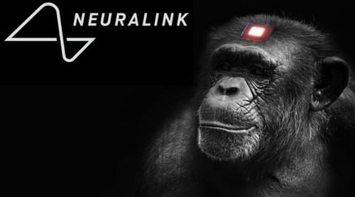 Η εταιρεία Neuralink του Ι. Μασκ παρουσίασε μαϊμού με ασύρματα εγκεφαλικά τσιπάκια να παίζει βιντεοπαιχνίδι μέσω του νου της